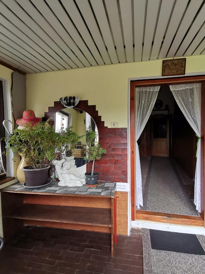 Apartman Ve Mlejne Nová Bystřice Bagian luar foto