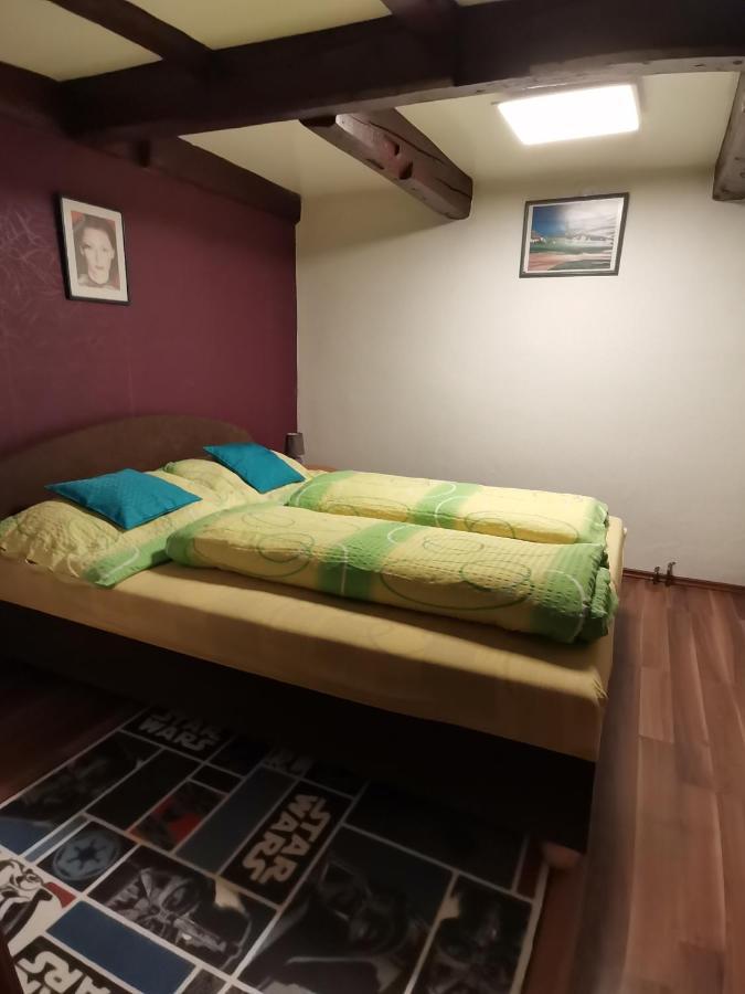 Apartman Ve Mlejne Nová Bystřice Bagian luar foto