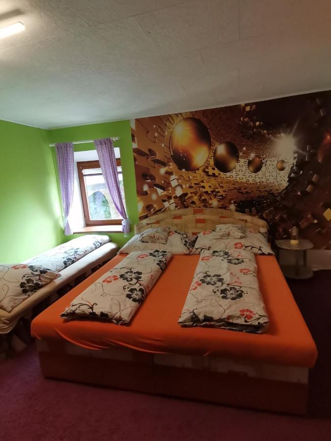 Apartman Ve Mlejne Nová Bystřice Bagian luar foto