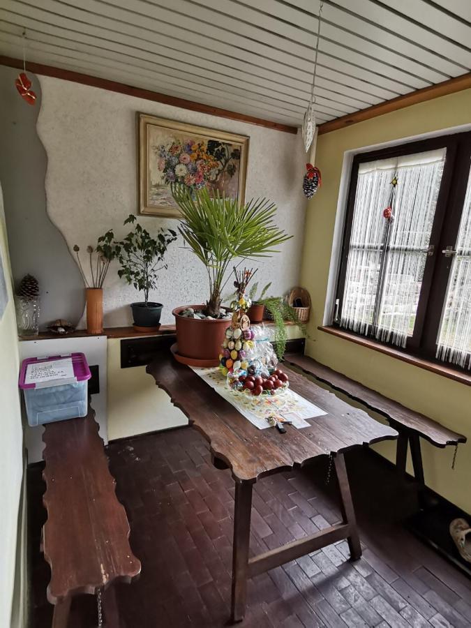Apartman Ve Mlejne Nová Bystřice Bagian luar foto